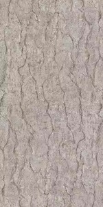 Double Charge Opera Silver Factory Price 600x1200mm Carreau de céramique brillant poli et émaillé pour le sol et le marbre Carrelage mural en porcelaine - Product Image 3