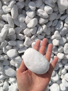 Piedras Blancas de gravilla, piedras de Vietnam - Product Image 2