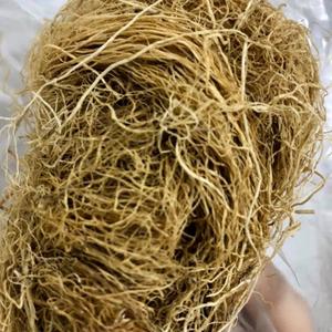 100% <b>Raw</b> Wildcrafted Irish <b>Sea</b> <b>Moss</b> Golden - Export Bulk <b>Sea</b> <b>Moss</b> From Vietnam - Product Image 4