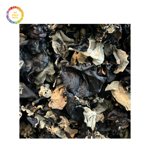The Best Cloud Ear Fungus at a Low-Cost Option with Excellent Quality You Can Depend On - Product Image 4