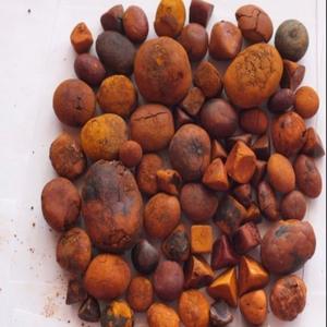 Exportateurs de calculs biliaires de vache entiers testés et fiables par HALAL 100%/fournisseurs de calculs biliaires - Product Image 2