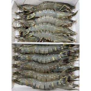 Camarones Tigre HOSO Congelados - Suministro al por Mayor de Camarones Tigre HOSO - Product Image 2