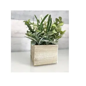 Garden Supplies Planter Indoor and Outdoor Garden Pots and Planters and Home Decorations From Indian Supplier By RGN Export