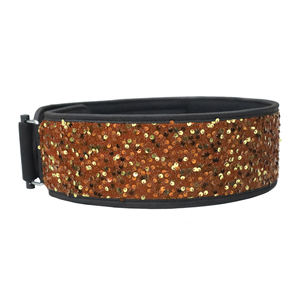 Fournisseur de ceintures de levage réglables en néoprène de qualité professionnelle B2B, protection avancée, soutien de musculation haute densité - Product Image 2