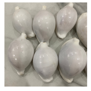 เปลือกหอยไข่ธรรมชาติขนาดใหญ่สำหรับทำเครื่องประดับงานฝีมือตกแต่งตู้ปลางานแต่งงานชายหาดและอุปกรณ์งานเลี้ยง - Product Image 4