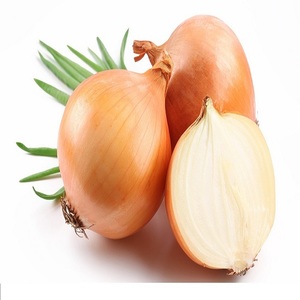 Cebollas amarillas frescas de alta calidad disponibles para tamaños de etiqueta privada al por mayor 50mm 70mm 5 - 25kg Bolsas al mejor precio - Product Image 1