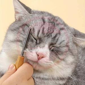 Peine para mascotas \ Peine de aseo para mascotas de acero inoxidable con mango de madera para perros y gatos \ Suministros para mascotas - Product Image 5