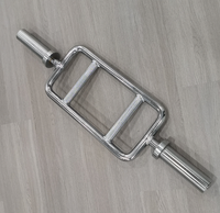 Haute quantité santé Fitness musculation haltère solide Chrome triceps barre exercice Curl barre de poids