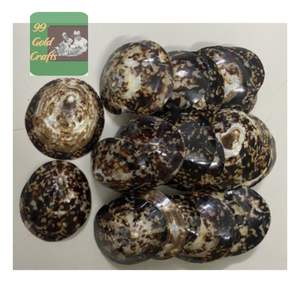 COQUILLES DE LIMPETTES LISSES ET BRILLANTES FABRIQUÉES À LA MAIN AU VIETNAM POUR L'ART DE BIJOUX, LA CONCEPTION EN RÉSINE ET LES MÈRES ALLAITEUSES - Product Image 3