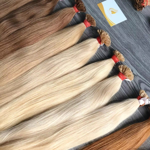 Kératine italienne I-Tips Couleur claire 100% Extensions de cheveux Remy vietnamiens bruts Bande Soyeuse Vague Droite Cheveux Humains - Product Image 1
