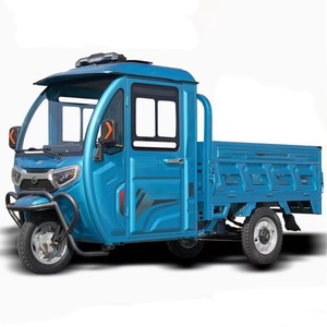 Tricycle électrique de transport de marchandises, véhicule utilitaire à trois roues, camion de livraison léger, 60V, carrosserie en métal argenté - Product Image 5
