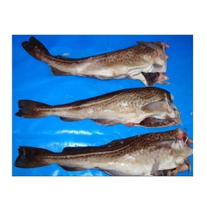 Filetes de abadejo congelados / Venta al por mayor de pescado abadejo congelado a precio económico - Product Image 2