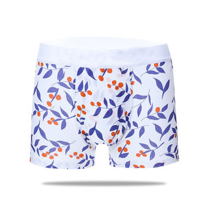 Shorts d'entraînement de boxe pour hommes, sous-vêtements de boxe respirants de haute qualité pour adultes - Product Image 1