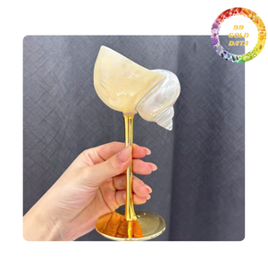 Copa de vino de concha Turbo y Vieira pulida | Idea de regalo única y decoración del hogar - Product Image 3