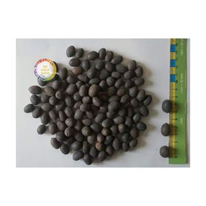 เมล็ดบัวดำอบแห้งจากเวียดนามคัดสรรแล้วสำหรับการผลิตอาหารเครื่องดื่มและสินค้าส่งออก - Product Image 3