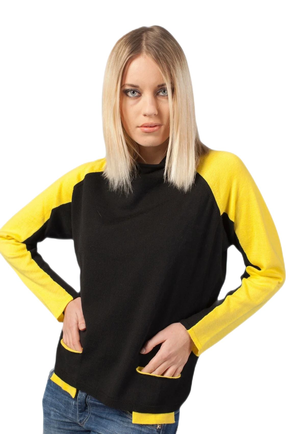 สีดำและสีเหลือง