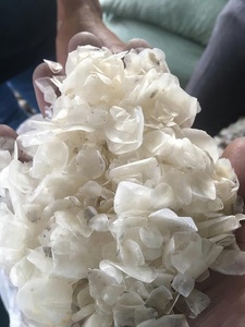 เกล็ดปลาแห้งจากเวียดนามวัตถุดิบทำความสะอาดคุณภาพสูงสำหรับการผลิตคอลลาเจน - Product Image 2