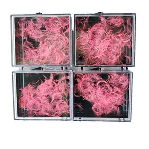 Hot New Korean PBT Fiber Eyelash Extensions 1000 Box 7D Loose 0.03mm-0.20mm Mixte Longueur À La Main Du Vietnam - Product Image 6