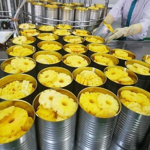 Piñas de frutas tropicales enlatadas saludables, mejor precio, anillos de piña enlatados orgánicos con tapa de fácil apertura producidos en Vietnam - Product Image 6