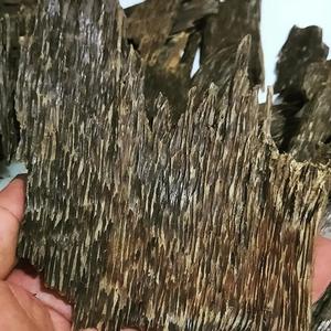 Authentique copeaux de oud naturel du Vietnam cultivé avec soin pour le bois de santal pur parfum bois d'agar titulaire OEM OUD CHUNK/CHIPS - Product Image 4