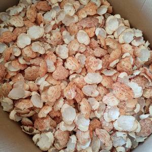 CONCHA DE CANGREJO SECA AL MEJOR PRECIO/POLVO DE CONCHA DE CANGREJO DE CALIDAD/FABRICANTE Y EXPORTADOR DE CONCHA DE CANGREJO SECA DE VIET NAM - Product Image 2