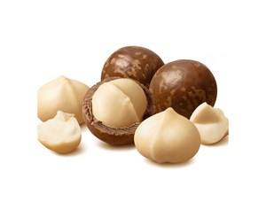 Nueces de Macadamia Orgánicas Crudas al por Mayor, Nueces de Macadamia Tostadas y Granos de Macadamia, Precio de Fábrica, Macadamia Seca - Product Image 4