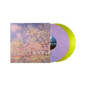 Fabricants de Vinyle Personnalisé Usine de Pressage <span class=keywords><strong>Lp</strong></span> Toutes les Solutions d'Emballage Disques Vinyles <span class=keywords><strong>Lp</strong></span> - Product Image 1