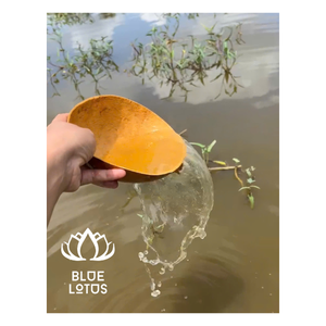 Cuencos de calabaza de ALTA CALIDAD: MEJOR VENDEDOR para la elaboración de tambores de agua, exhibiciones artísticas y utensilios de cocina funcionales-LOTO AZUL - Product Image 1