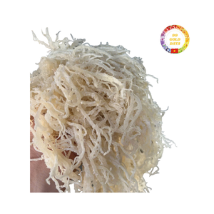 Seamoss orgánicos secos ricos en vitaminas y minerales La mejor opción para revendedores y distribuidores - Product Image 6