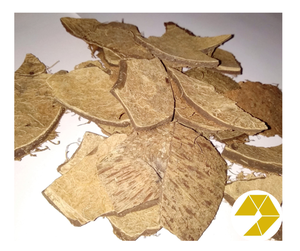 100% cáscara de coco cruda natural, cáscara de coco cruda Premium para manualidades y carbón, stock a granel, el mejor precio listo para exportar para la venta - Product Image 3