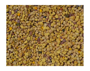 Cápsulas de Polen de Abeja Natural de la Mejor Calidad, Marca Privada, Grado Alimenticio, Color Personalizado, Fabricante Profesional OEM/ODM - Product Image 6