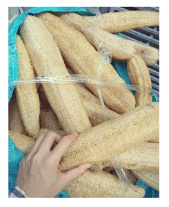 Nettoyage 100% matière première naturelle éponge de bain corps épurateur Lofa Loofa Luffa Loffa luffa pour le nettoyage de la cuisine - Product Image 1