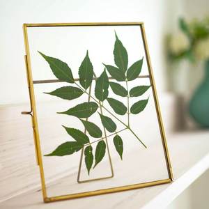 Marco para Mesa de Vidrio 6x8, Elegante y Estilizado, Decoración para el Hogar, Marco Duradero de Primera Calidad, Perfecto para Exhibir Regalos - Product Image 3