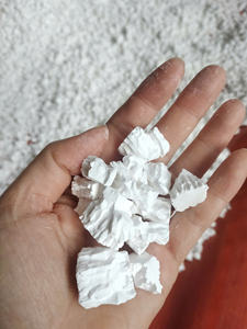 Almidón de Maranta (Maranta Arundinacea), Extracto de Grado Premium, Empaquetado a Granel para Importadores Internacionales - Product Image 2