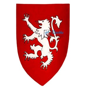 Nouveau protecteur de guerrier de conception de lion médiéval populaire et bouclier de rôle Halloween croisé bouclier mur et décoration d'intérieur article cadeau - Product Image 1