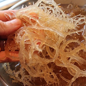 Top Export Quality Seamoss | Eucheuma Cottonii <b>Raw</b> Material - Product Image 3