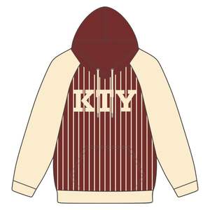 DST Delta Maroon Body Sweat à capuche à rayures raglan neutres en coton mélangé Vêtements de sororité grecque HBCU Soror Vêtements à capuche - Product Image 2