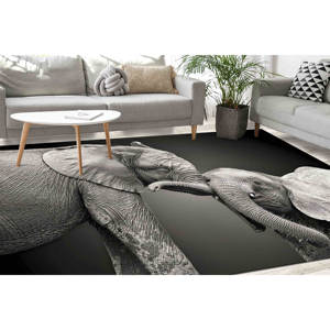 Deux tapis à motif d'éléphant, tapis noir et blanc, tapis imprimé, tapis doux non tissé - Product Image 1