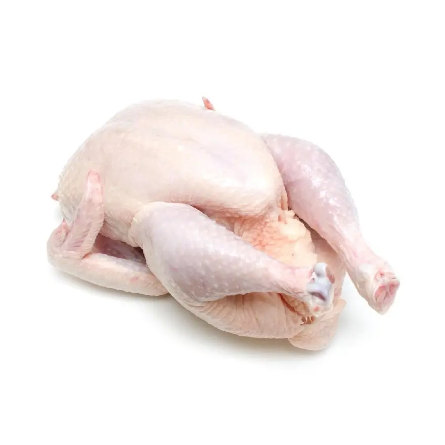 ब्राजील से प्रीमियम आपूर्तिकर्ता हलाल फ्रोजन होल चिकन हलाल चिकन प्रसंस्कृत मांस