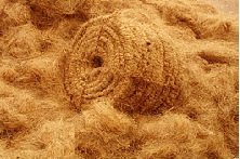 coconut fibers for mattresses prepration - Product Image 6