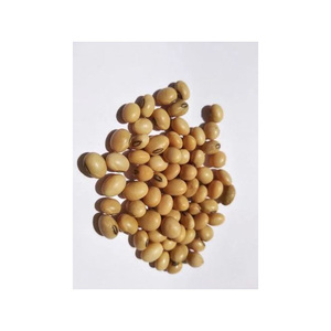 Soja jaune biologique de haute qualité sans OGM délicieux gros haricots secs de haute qualité emballés en vrac - Product Image 6