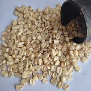 Крупная партия, сушеная Кукуруза H1, белая кукуруза, упаковка для хранения кукурузы в верхнем стиле, зрелые пищевые продукты, качество, происхождение, тип жизни, гибридная белая кукуруза