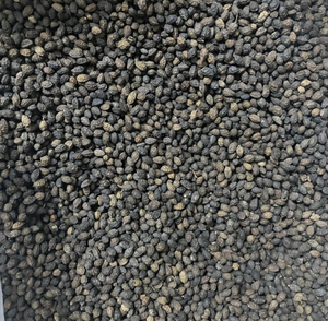 ชาสมุนไพรดอกบัวสีน้ำเงินจากเมล็ดมะละกอแห้งและเมล็ดดำพร้อมมะละกอสด - Product Image 2