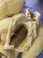 Penjualan paling laris 2023 tanaman baru DURIAN FROZEN baru siap dikirim dari VIETNAM MONGTHONG/RI6