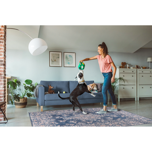 Ensemble de tapis de sol lavable à motif floral beige moderne Netline Home Depot R3 - Product Image 2