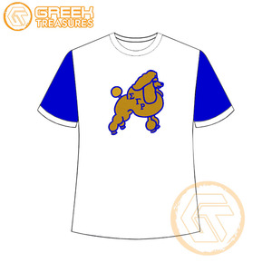 Vente en gros de t-shirt Sigma Gamma Rho pour femmes vêtements de sororité jersey de coton t-shirt respirant de haute qualité vêtements grecs pour femmes - Product Image 4