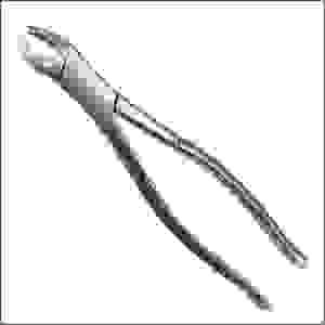 Fórceps de Extracción Dental Profesional de Alta Calidad, Instrumento de Extracción de Dientes de Acero Inoxidable para Uso Clínico y Quirúrgico - Product Image 1