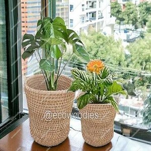 Maceta cilíndrica de hierba marina tejida de bambú antiguo, cesta elegante para plantas de interior y exterior y decoración de habitación - Product Image 5