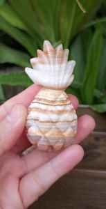 สับปะรดแกะสลักด้วยมือจากหินออนิกซ์ธรรมชาติ ของตกแต่งบ้านที่มีเอกลักษณ์ ของขวัญอัญมณีบำบัด - Product Image 5