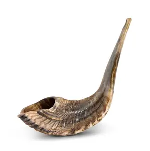 Großhandel Large Ram Horn Kosher Shofar Natur poliertes Musik instrument für jüdische religiöse Zwecke